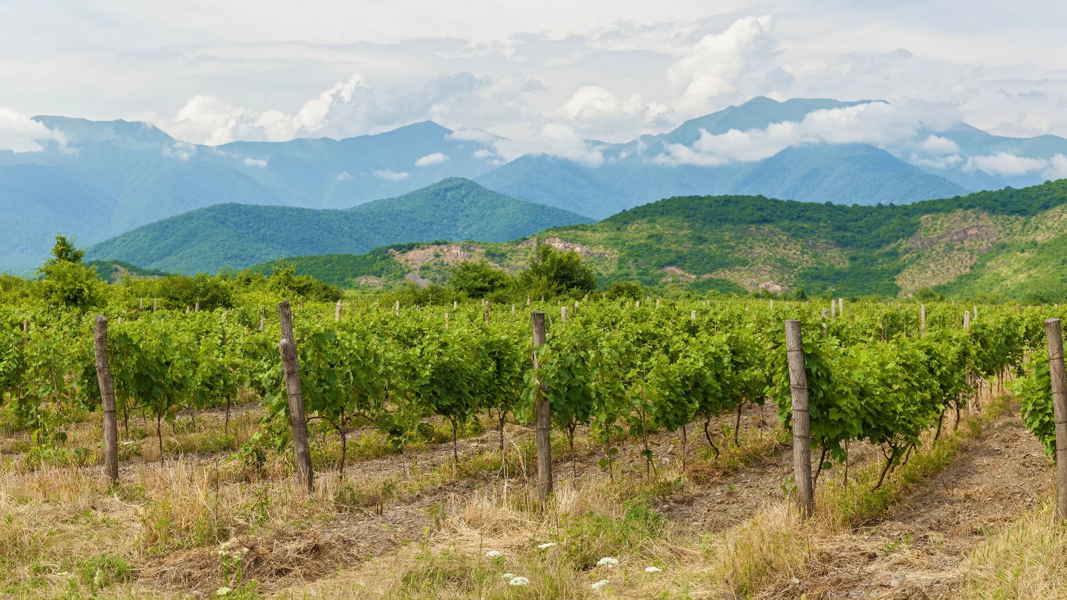 Map and landscape of the Kakheti wine region in eastern Georgia